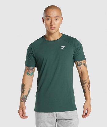 Gymshark Critical 2.0 T Shirts Herr Mörkgröna | SE 3924AHK